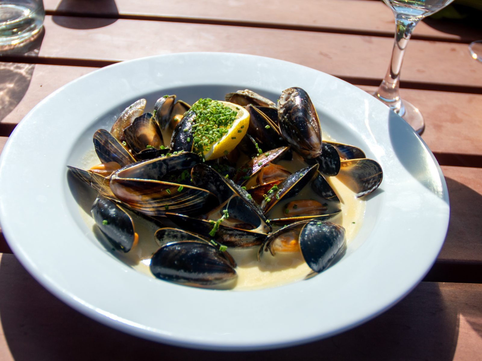 Mussels20thMay2025.jpg