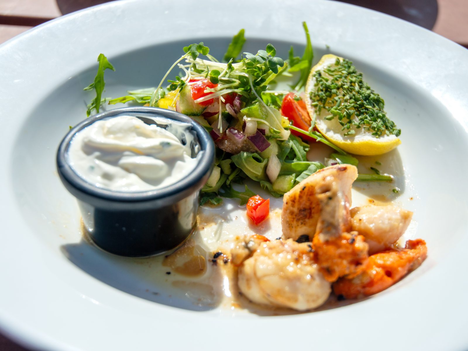 ScallopsStarter20thMay2025.jpg