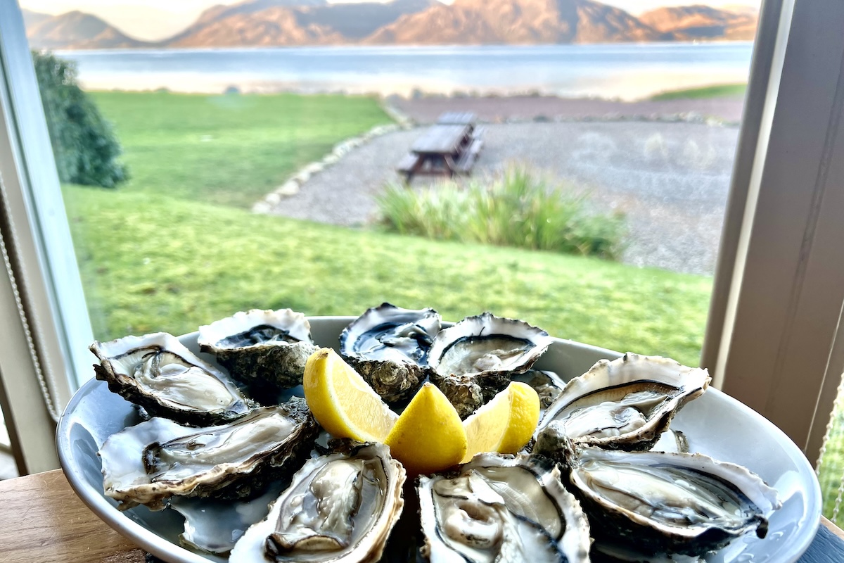 Oysters by the window with Loch Linnhe beyond